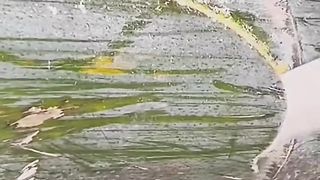 Unique but cool