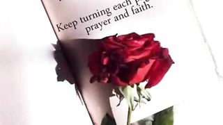 Jumma Mubarak status