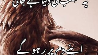Matlib ki duniya He jani  | Attitude shayari| boys attitude poetry| Deep lines poetry| VirlVodeo