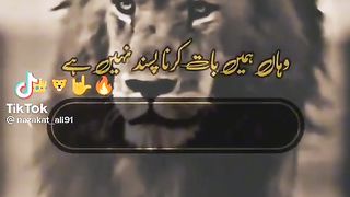Lion ???? video aTTiTuDe ????