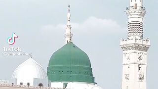مدینہ کی زیارات
