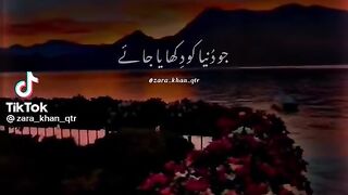 Recite 233