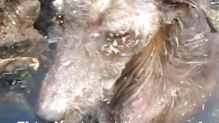Watch the full video ????