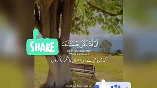 Recite holy Quran