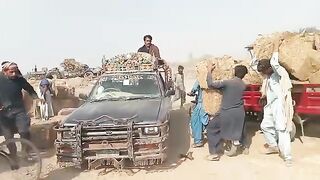Janwaron ke lye aya sarkari chara