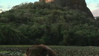 Beautiful view