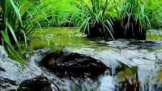 Awesome video ????