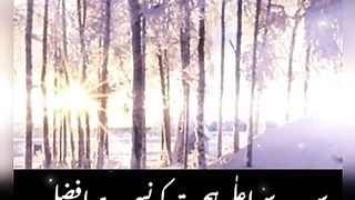 سب سے اعلیٰ حجرت