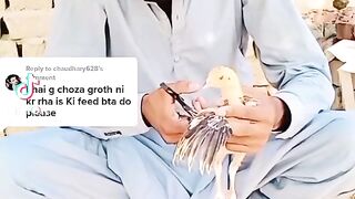 Tik tok vedio