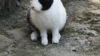 Cute cute osm beautiful