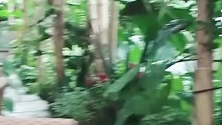 Fruit garden