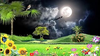 beautiful weather
