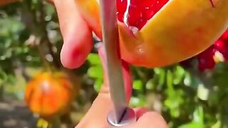 Mashallah Beautiful Red Anar