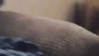 Funny crazy animals