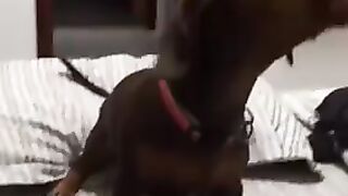 ???????????????? 3