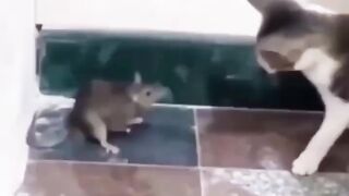 Cadê o baiano??