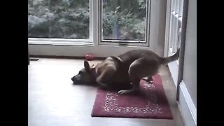 funny 2