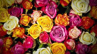 DIY Mini Paper Flowers Bouquet ???? | Art And Craft Video