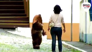 TRY NOT TO LAUGHING I Best Funny Videos Compilation 2023 # 10