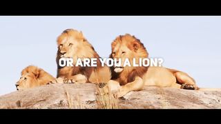 Lion MENTALITY!!!_Powerfull!! motivational speech