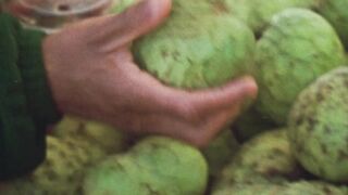 Jordan Ward - CHERIMOYA