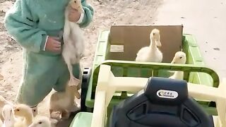 Cute baby funny video 2023