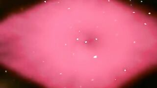 LA PANTERA ROSA ♦ La Pulga Rosa ♦ Audio Español Latino