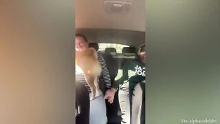 Pets That Will Absolutely Brighten Up Your Day ???? Most of Funniest Animals