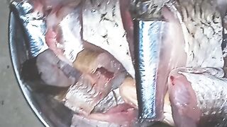 Shorts video