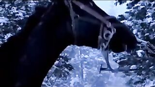 New movie clips shorts video