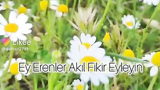 Müzikler