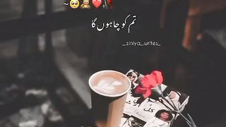 tum ko chahoon ga