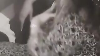 cute girl singing song