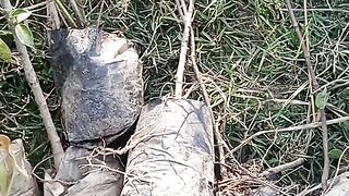 Plants????????????????