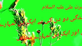 Islamic videos
