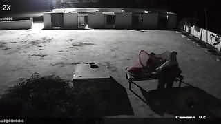 Funny video
