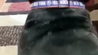 Funny enimal video