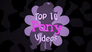 Pony 10