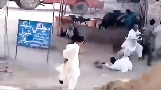 ANIMAL ON RAGE