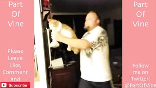 Funny Cats 2015 - Vine Compilation - BEST VINES ✔️