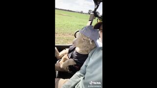 BEST ANIMAL TIKTOKS!! #9