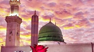 چھوڑ فکر دنیا کے چل مدینہ چل تھی ہے