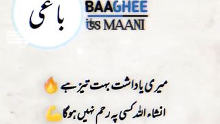 Baghi pathan