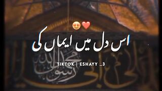 Aliع tera nhi koi Sanni✨❤️