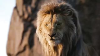 15 Fois Où Les Lions Se Sont Trompés D'adversaire