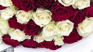 ADDICTION _WEDDING SURPRISES-MARIAGE PROPOSITION