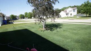 Landscaping _ Edging _ Mulching arround TREES