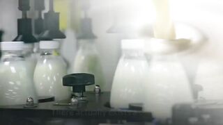 (ANY MILK) DIET - weight loss  3 week diet plan