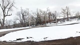 snow and duck