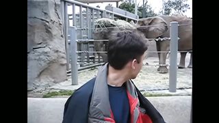 Me at the zoo YouTube first video